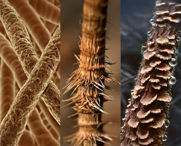 Sicheres Styling mit Pflege für Ihr Haar